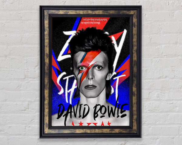 David Bowie Ziggy Stardust Framed Print