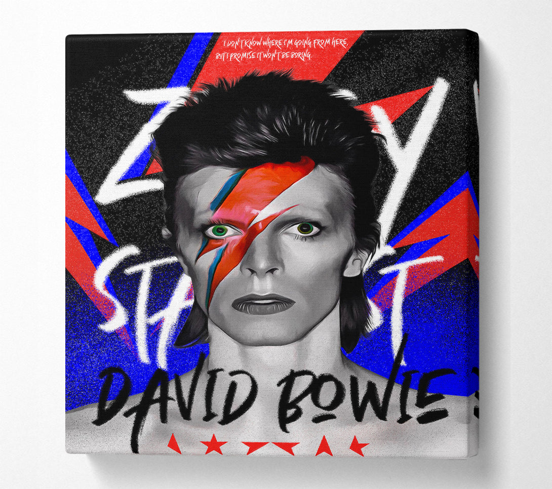  A Canvas Print of David Bowie Ziggy Stardust Canvas Art
