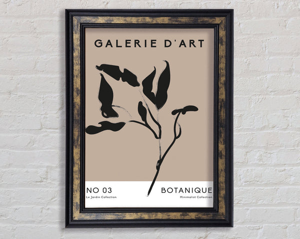 Galerie Collection Plant Framed Print