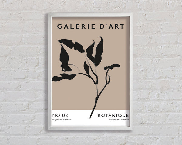Galerie Sammlung Pflanze
