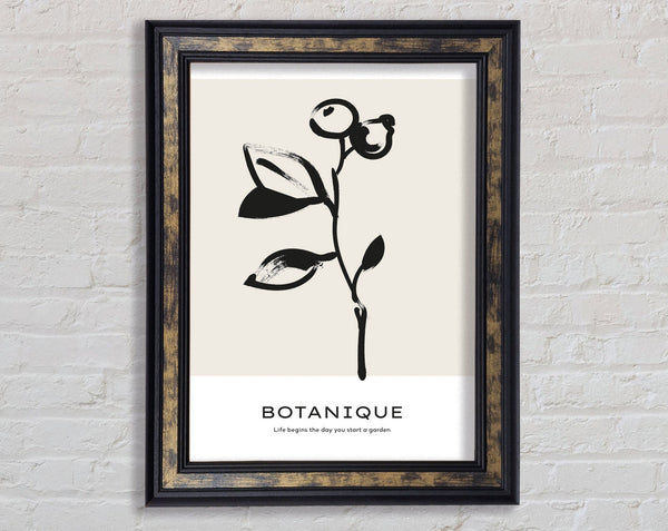 Life Begins When You Start A Garden Framed Print