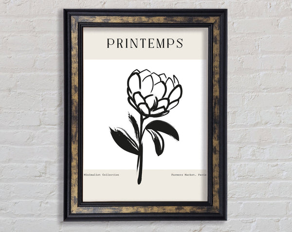 Minimalist Plant Framed Print