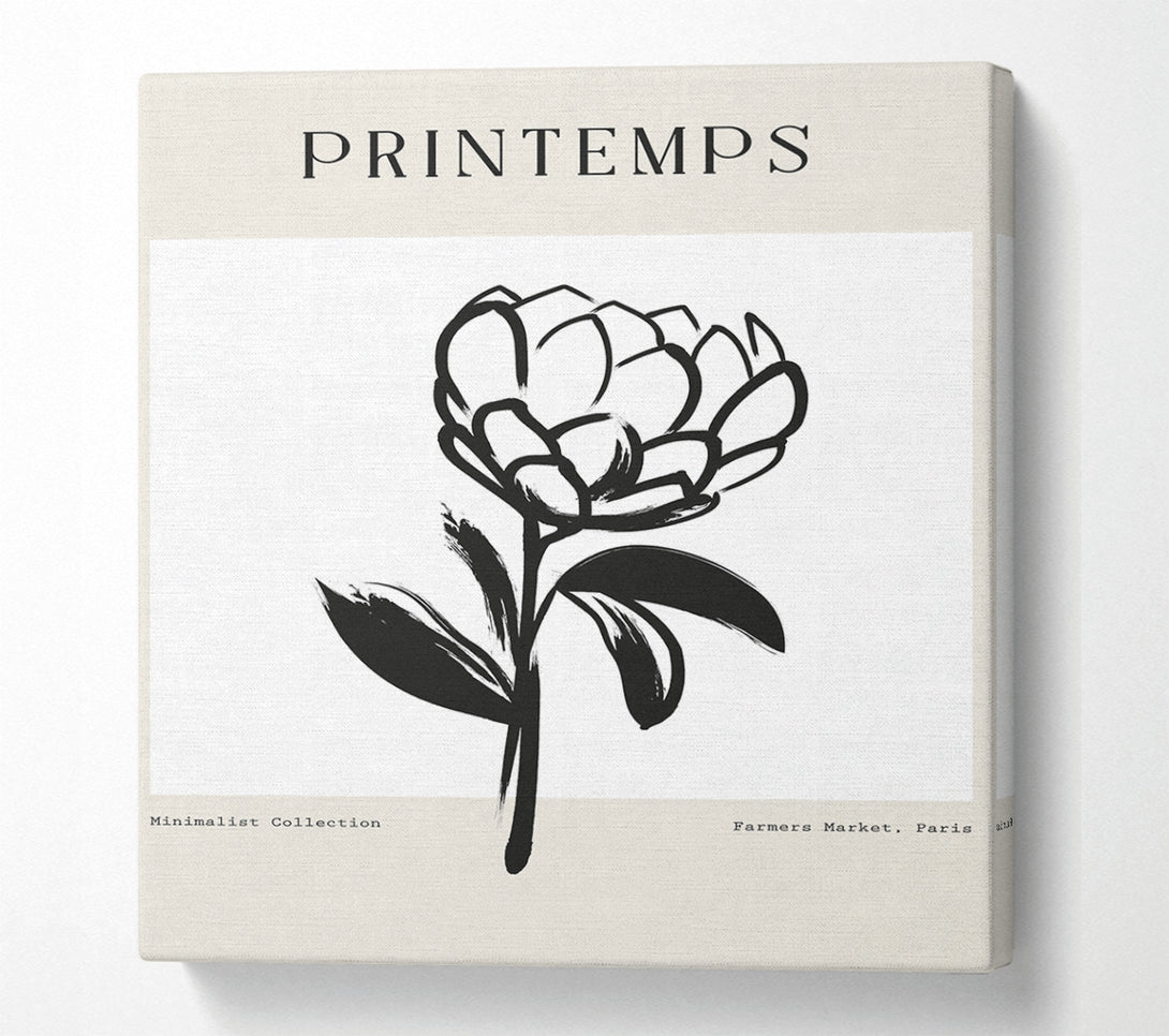  A Canvas Print of Minimalist Plant Canvas Art