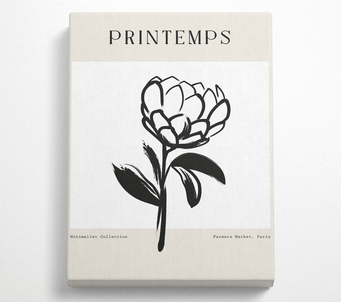  A Canvas Print of Minimalist Plant Canvas Art