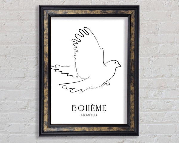 Boheme Dove Framed Print