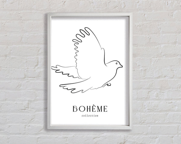 Bohème-Taube