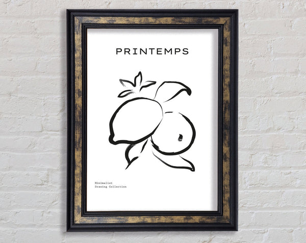 Lemons Ink Framed Print