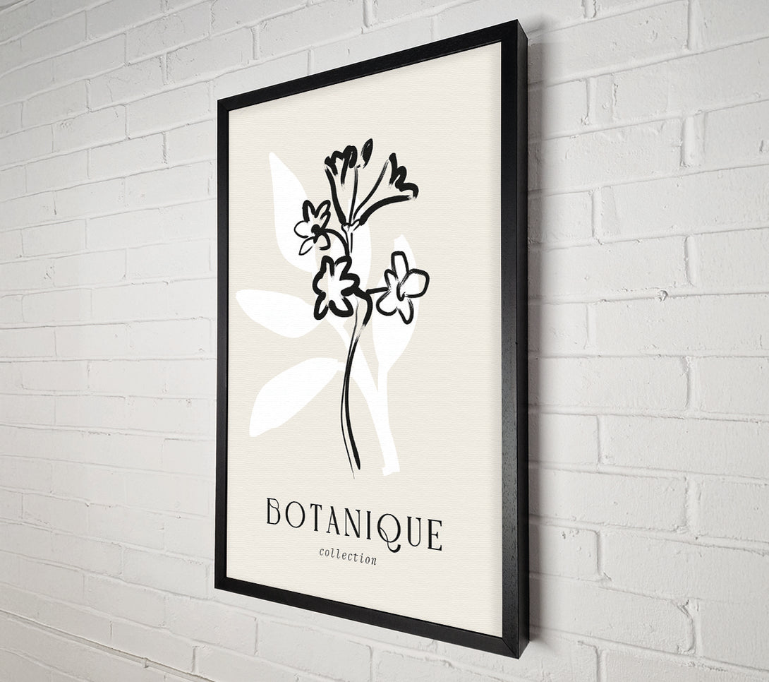  A Canvas Print of Botanical Plant Lines Canvas Wall Art