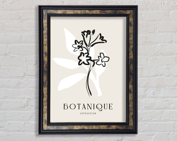 Botanical Plant Lines Framed Print