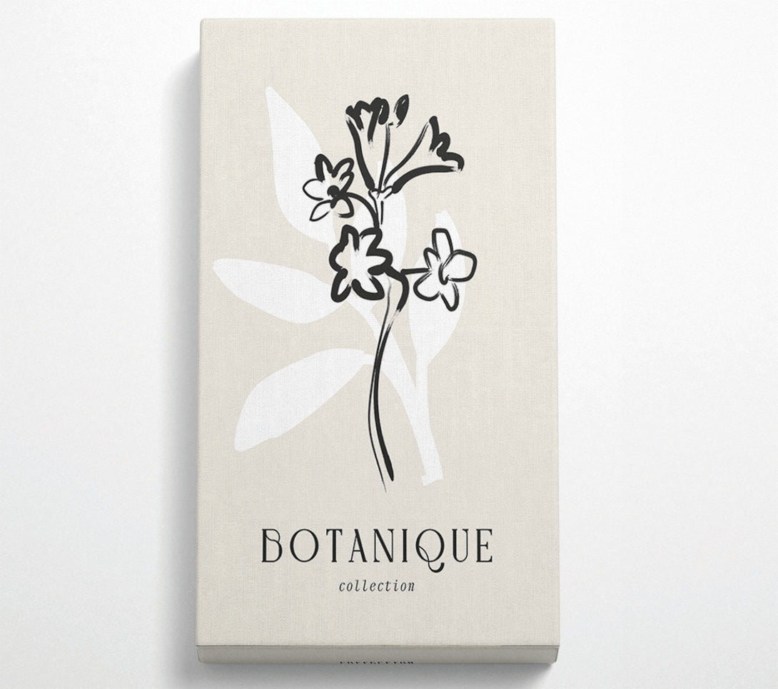  A Canvas Print of Botanical Plant Lines Canvas Wall Art
