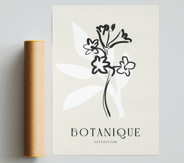 Botanical Plant Lines Giclee Print