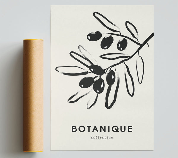 Olive Tree Branches Giclee Print