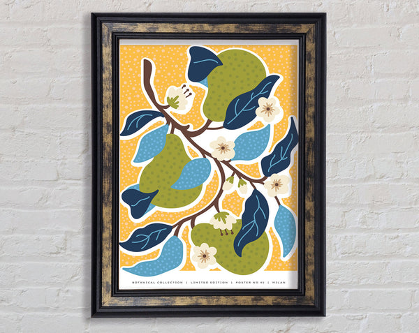 Branch Of Beautiful Blossons Framed Print