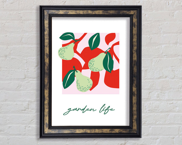 Garden Life Pears Framed Print