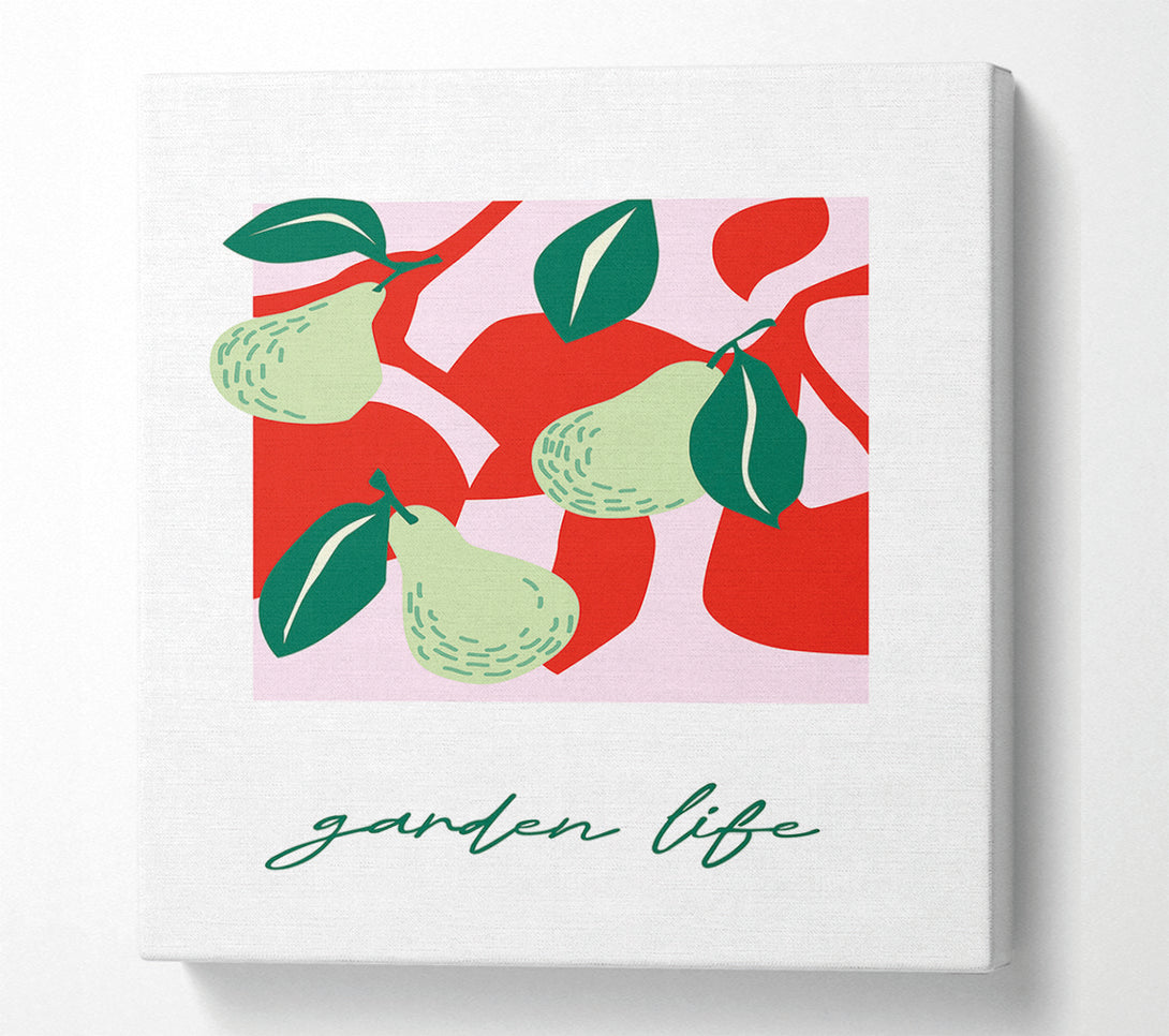  A Canvas Print of Garden Life Pears Canvas Wall Art