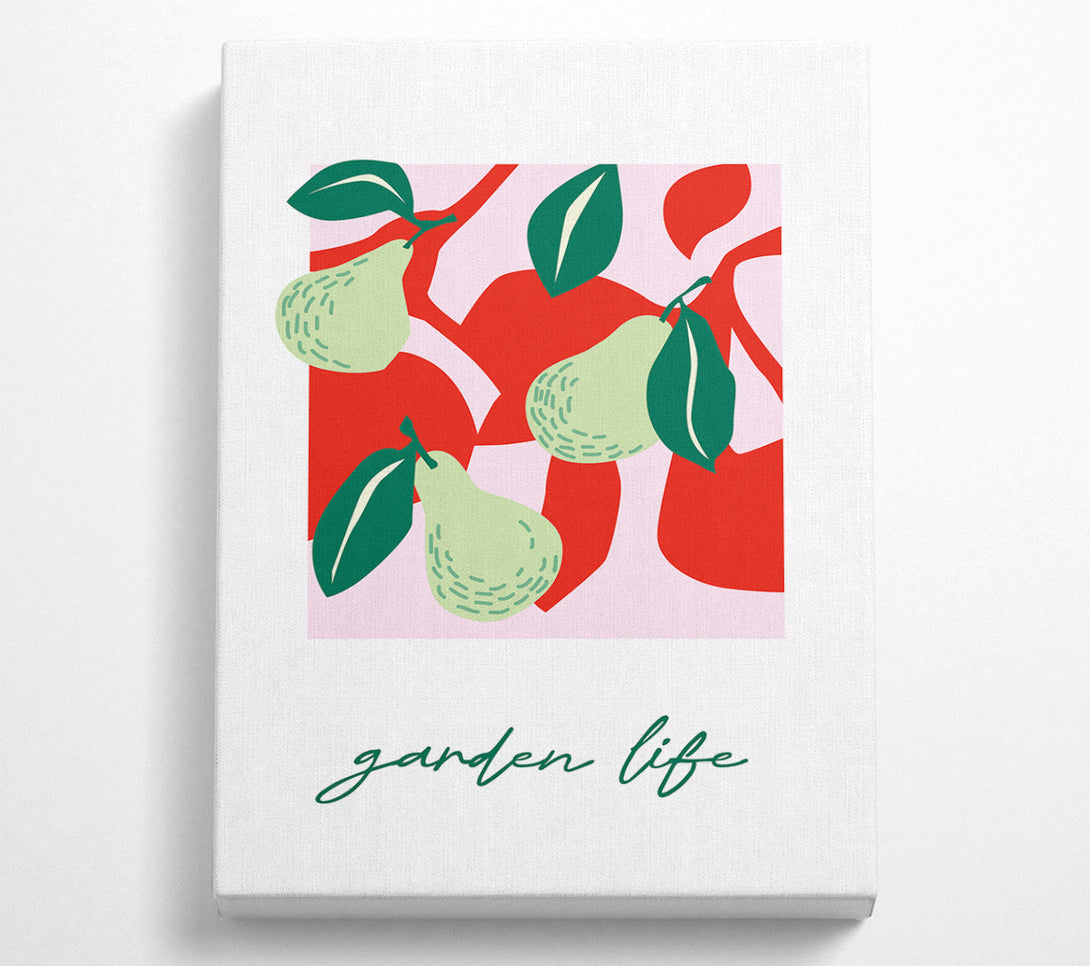 A Canvas Print of Garden Life Pears Canvas Wall Art