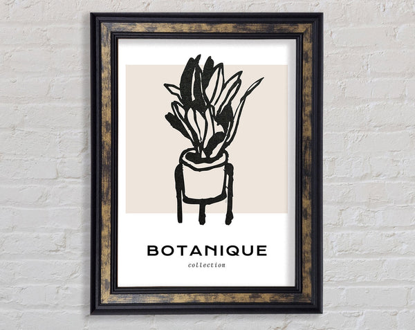 Botanique Flower Vase Framed Print