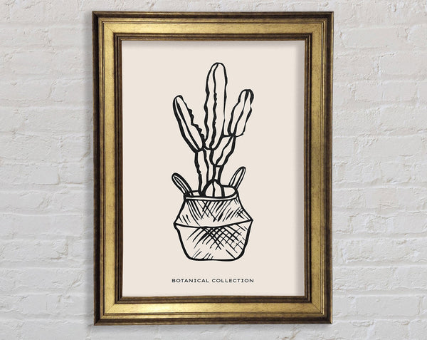 Cactus In A Pot Framed Print