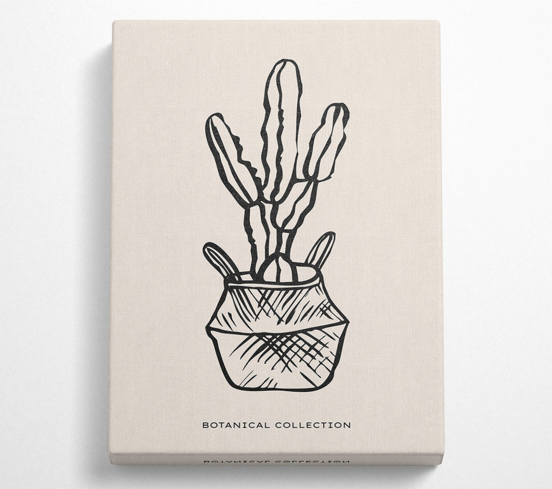  A Canvas Print of Cactus In A Pot Canvas Art