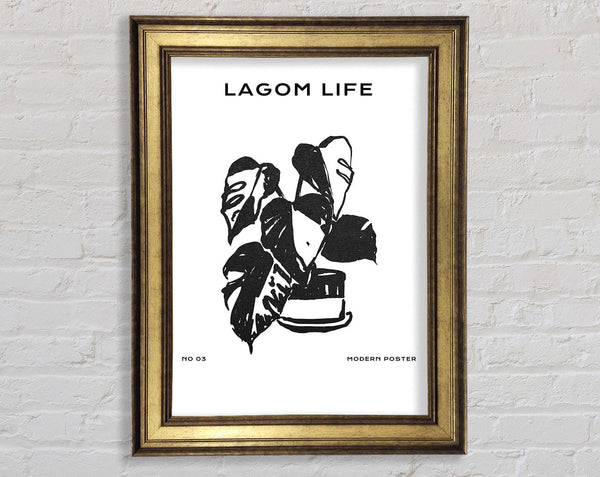 Pot Of Cheese Plants Framed Print
