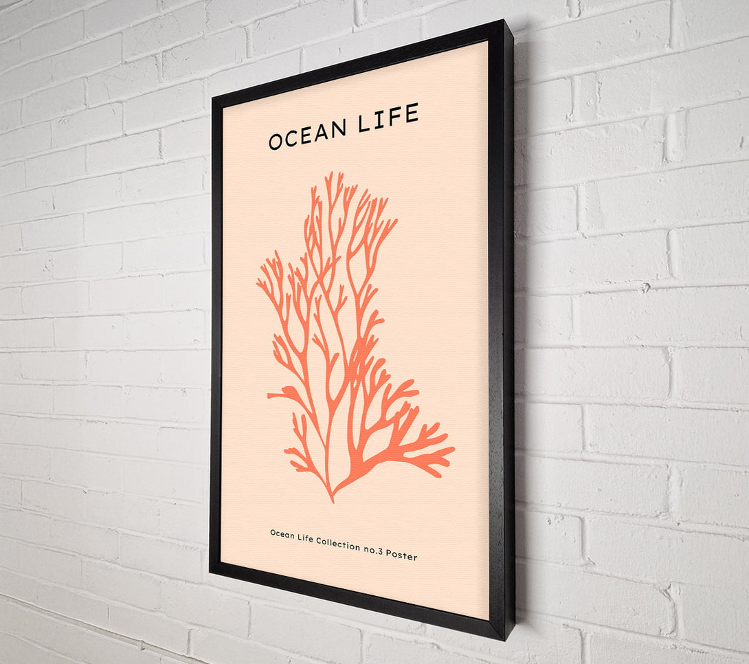  A Canvas Print of Red Coral Canvas Wall Art
