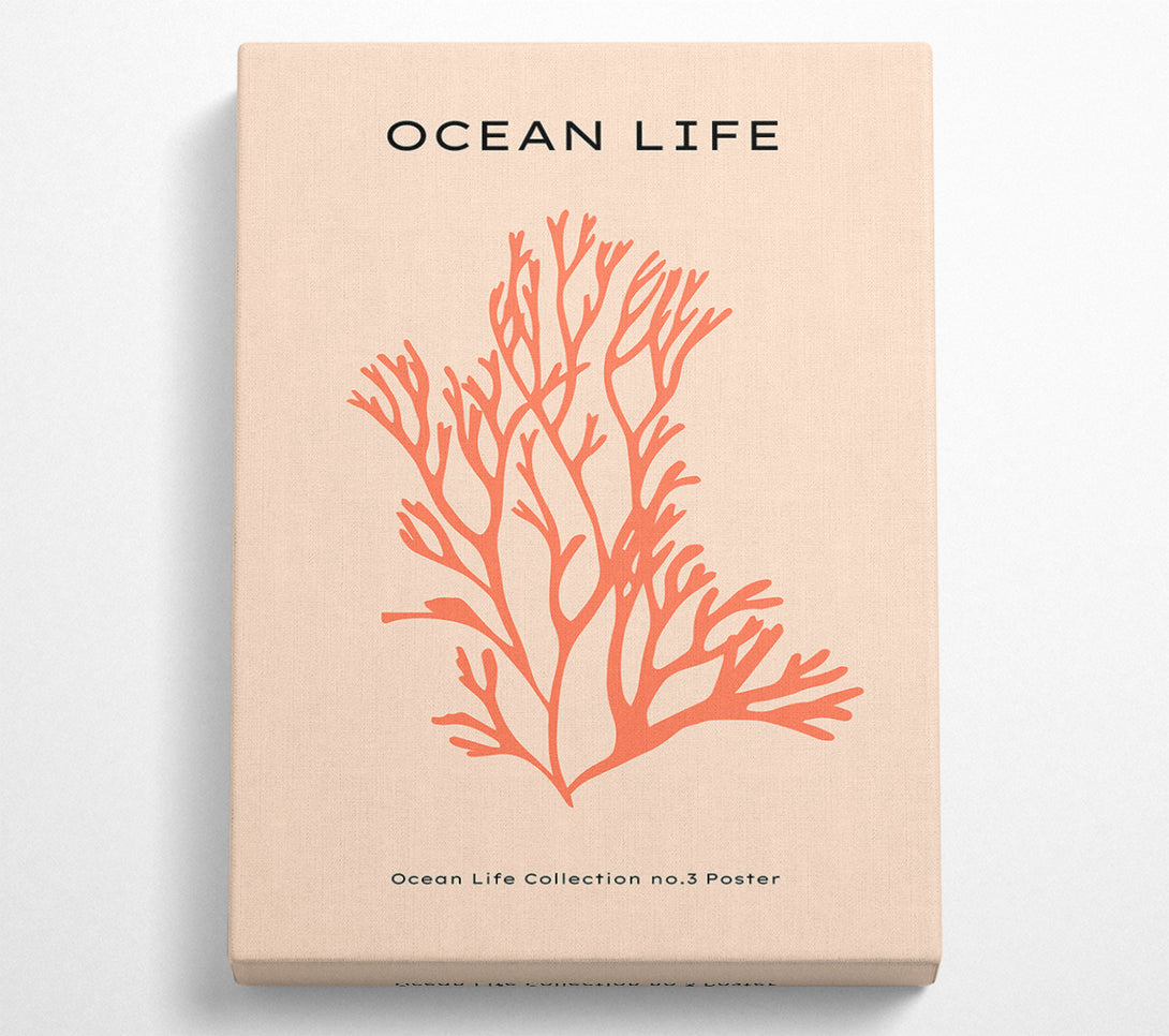  A Canvas Print of Red Coral Canvas Wall Art