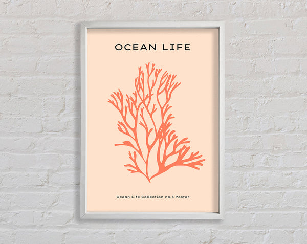 Red Coral Framed Print