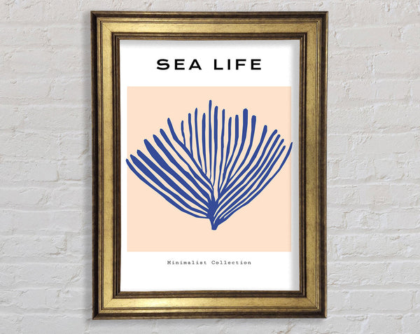 Sea Life Blue Coral Framed Print