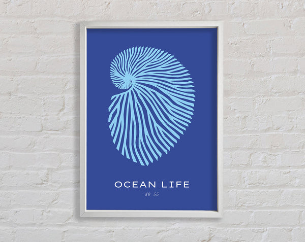 Ocean Life Shell Blue Framed Print