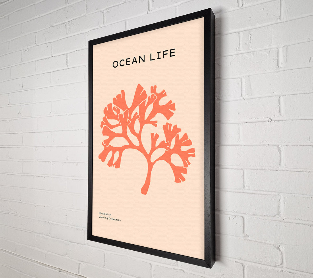  A Canvas Print of Orange Coral Tree Canvas Wall Art