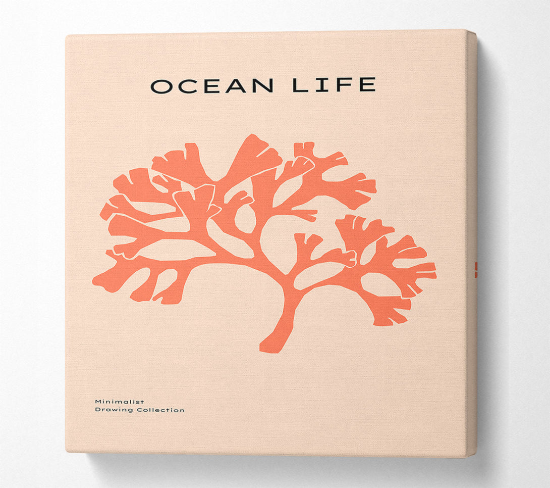  A Canvas Print of Orange Coral Tree Canvas Wall Art