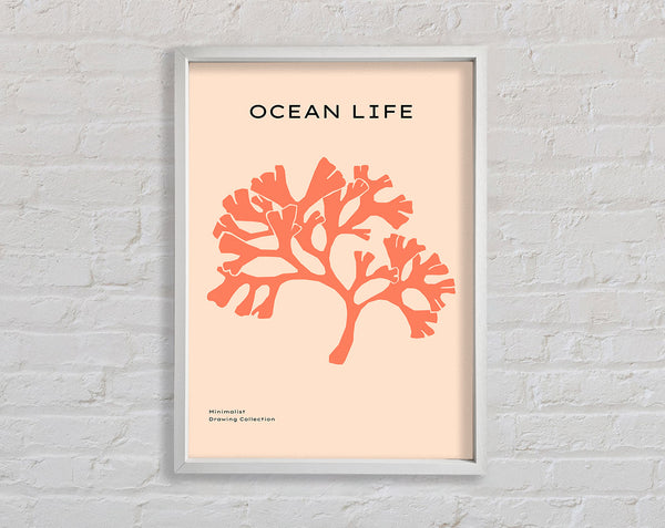 Orange Coral Tree Framed Print