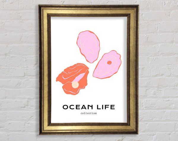 Stunning Ocean Shell Framed Print