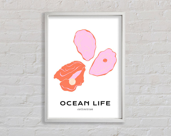 Stunning Ocean Shell Framed Print