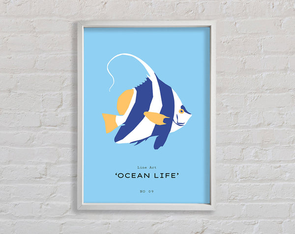 Kaiserfisch, blau und weiß
