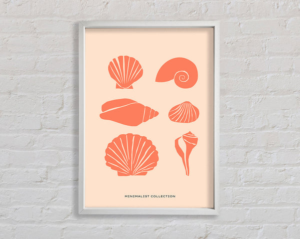 A Shell Collection Framed Print