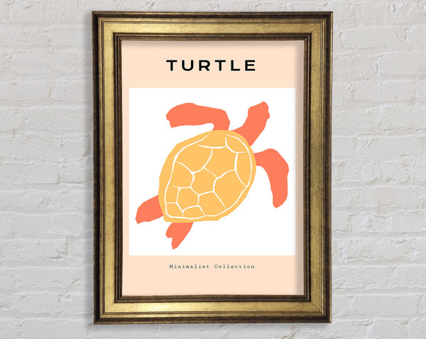Reef Turtle Framed Print