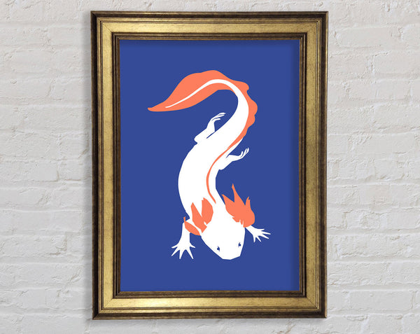 The Simple Salamanda Framed Print