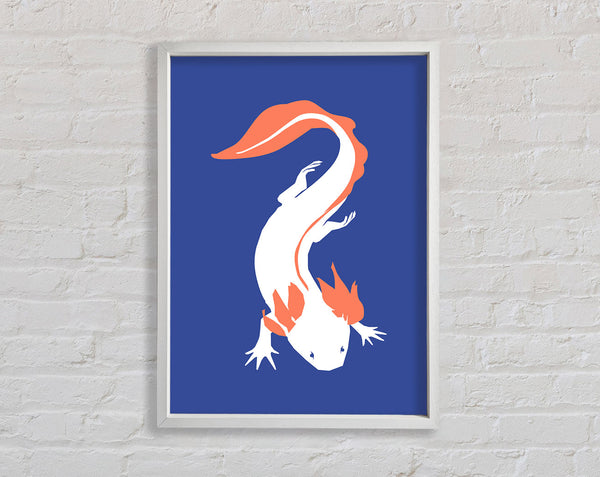 The Simple Salamanda Framed Print