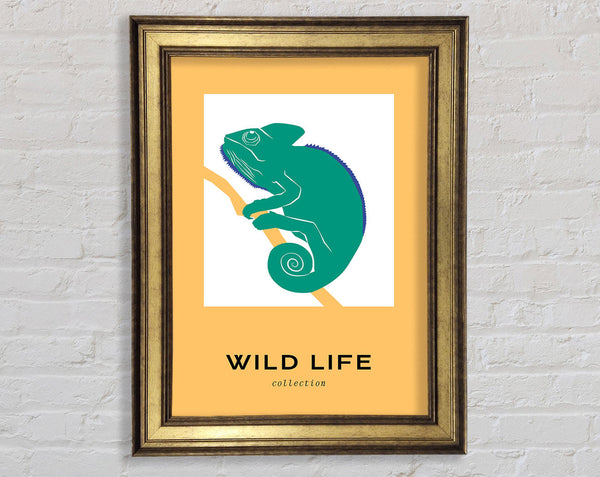 Chameleon Charm Framed Print