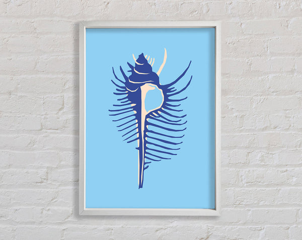 Big Blue Shell Framed Print