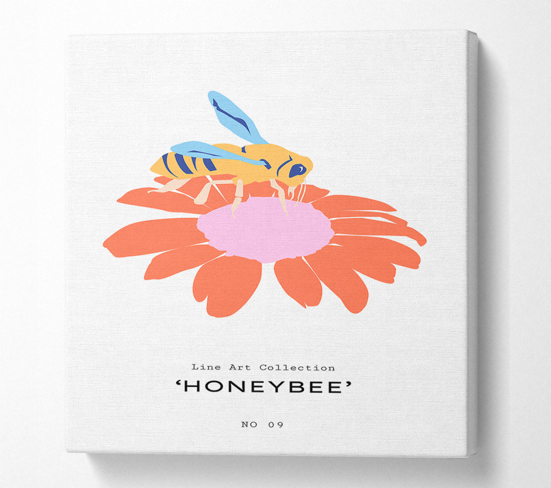 A Canvas Print of Modern Honey Bee Canvas Print