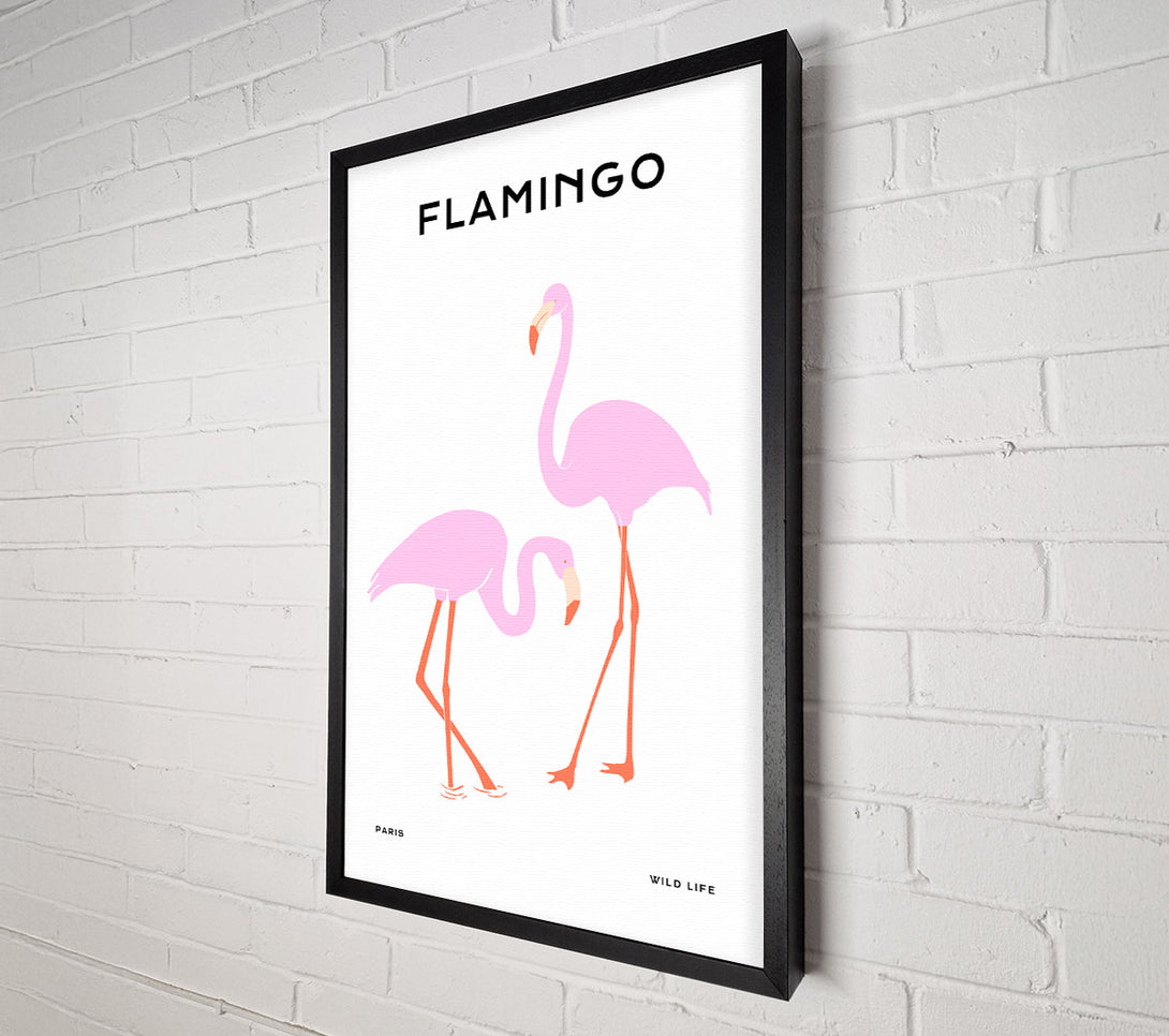  A Canvas Print of Pink Flamingo Canvas Print