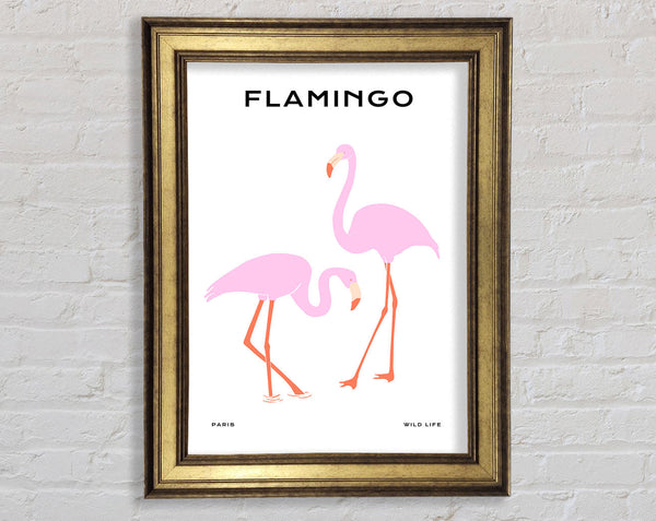 Pink Flamingo Framed Print