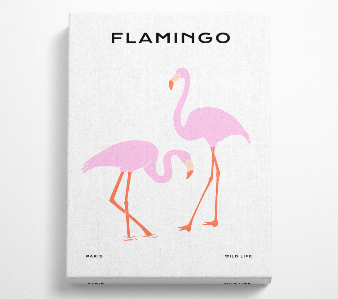 A Canvas Print of Pink Flamingo Canvas Print