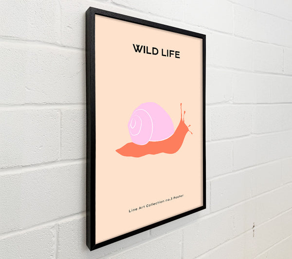 Art Snail