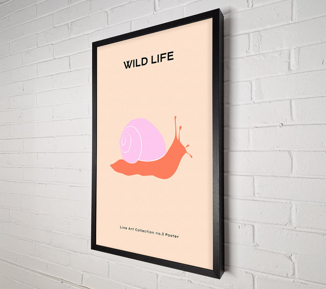  A Canvas Print of Art Snail Canvas Print