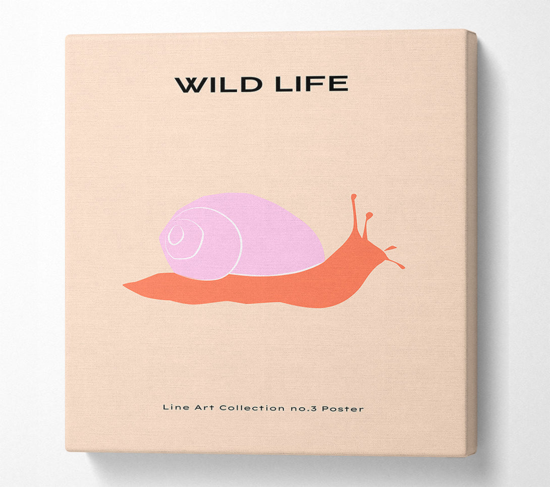  A Canvas Print of Art Snail Canvas Print