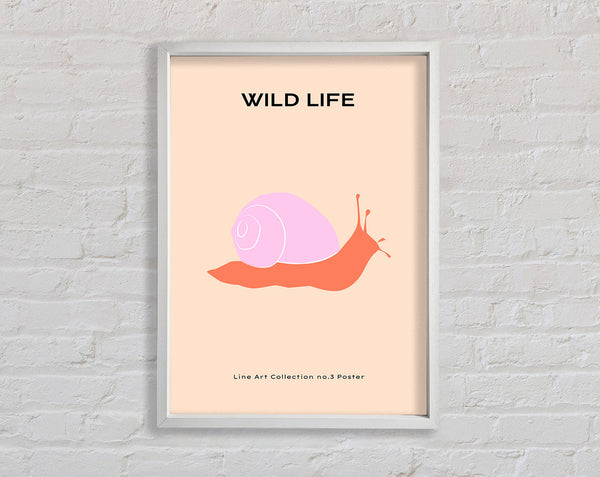Art Snail Framed Print