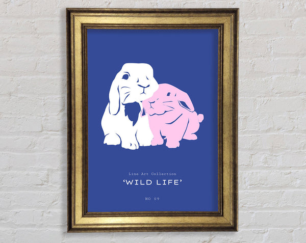 Bunny Rabbit Cuddle Framed Print